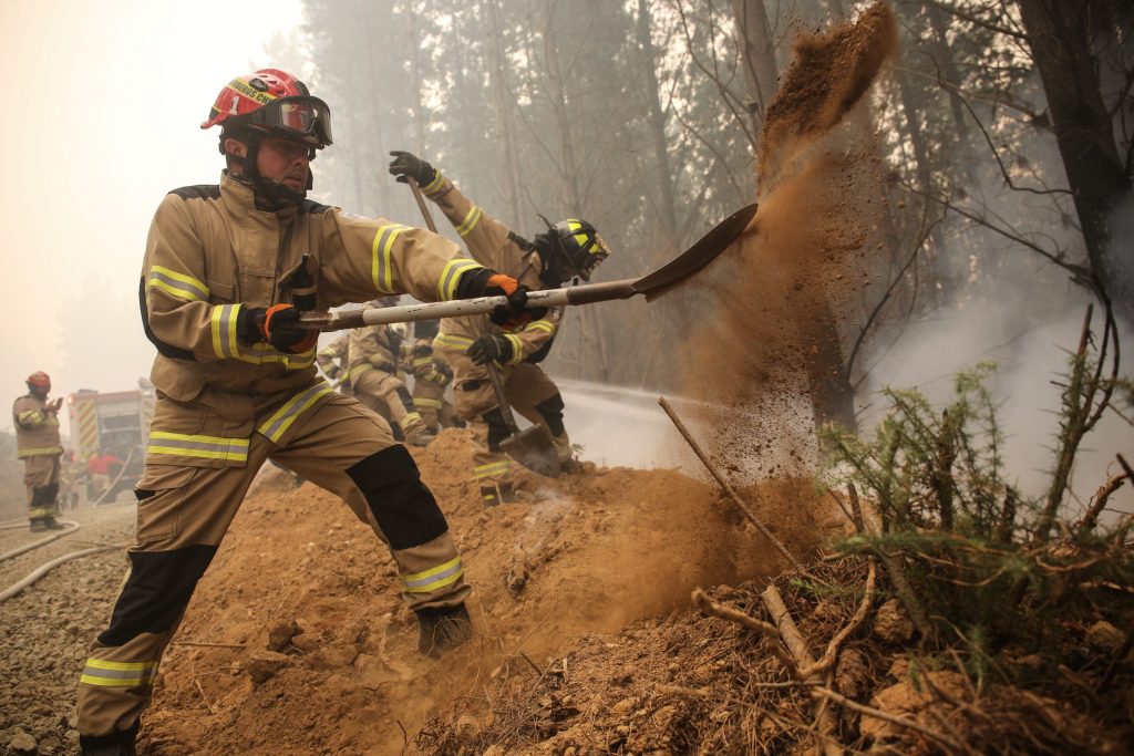 Senapred reporta cinco incendios forestales en combate: se registran 7.835 personas damnificadas