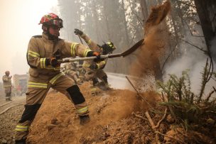 Senapred reporta cinco incendios forestales en combate: se registran 7.835  personas damnificadas