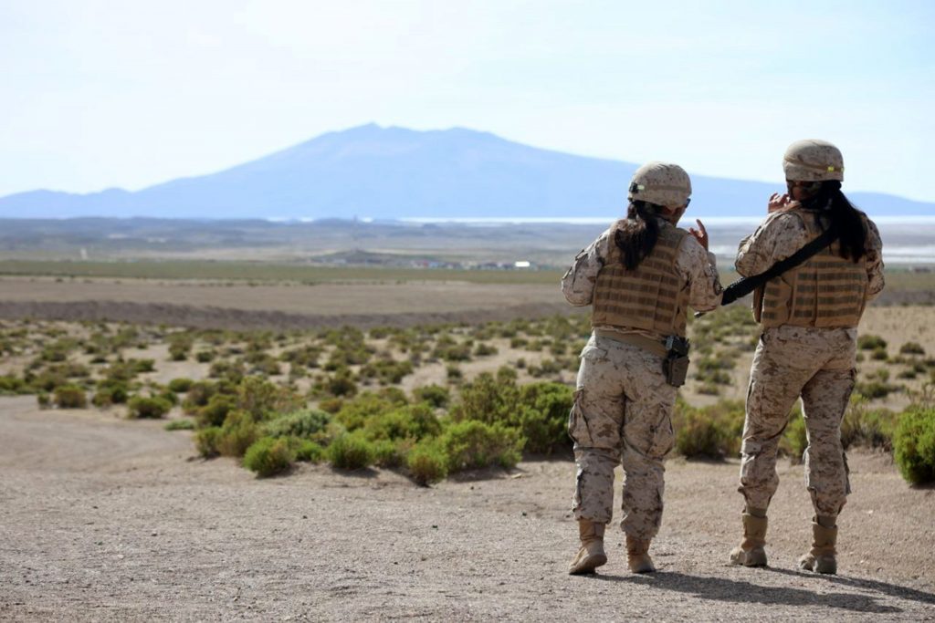 Ejército intercepta camiones bolivianos con 170 rifles y 60 pistolas en Colchane