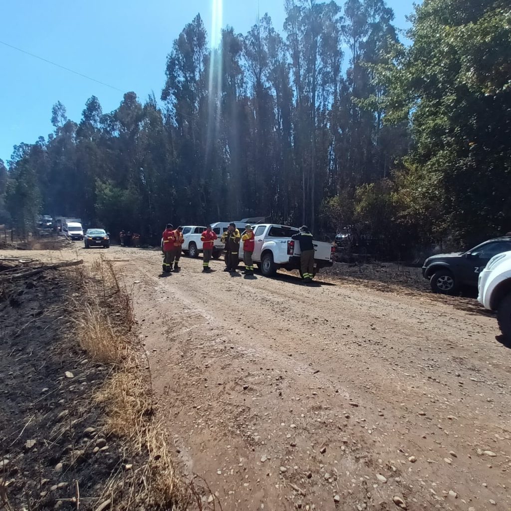 Corma denuncia que brigadista fueron atacados “a balazos” mientras combatían incendio en La Araucanía