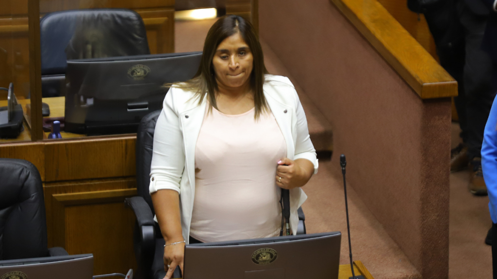 “El magíster en empatía nunca lo realizó”: Diputado Palma criticó dichos de María Luisa Cordero a Fabiola Campillai
