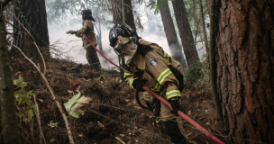 Senapred declaró Alerta Roja en Collipulli: Incendio forestal afecta a Reserva Nacional Malleco