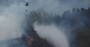 Declaran Alerta Temprana Preventiva para la RM por amenaza de incendios forestales