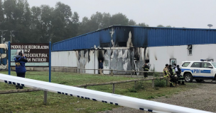 La Araucanía: Encapuchados armados incendian un criadero de peces en Vilcún