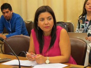 Diputada Astudillo impulsa creación de pase especial para los pobladores de Colchane y sus alrededores