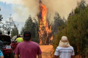 Incendios forestales: Hay 13 en combate y 438 mil hectáreas destruidas