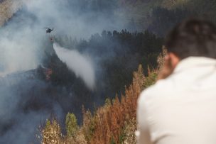 Incendios forestales: Hay 7 en combate y 436 mil hectáreas destruidas