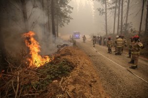 Incendios forestales: Hay 20 en combate y 438 mil hectáreas destruidas