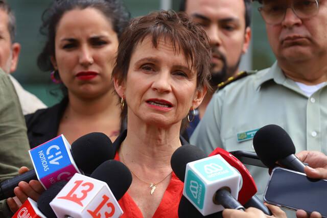 Ministra Tohá: “El Gobierno presentó una serie de medidas que implican mejorar las dotaciones policiales”