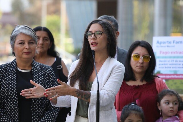 Ministra Vallejo y ley Nain-Retamal: “La propuesta tiene que ser mejorada y perfeccionada”