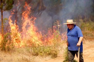 ONU indicó que a Chile le faltó claridad y prevención para combatir los incendios forestales