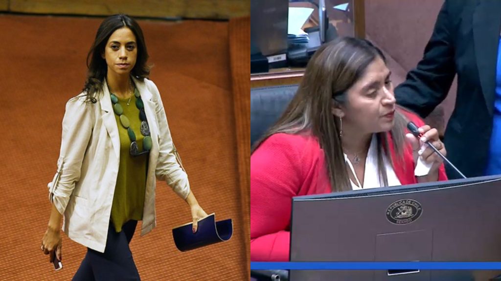“Me da vergüenza”: Paulina Núñez criticó a Cordero por dichos sobre Fabiola Campillai