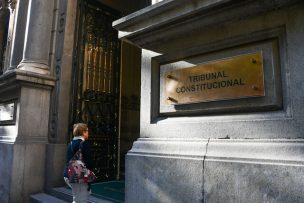 Tribunal Constitucional rechazó requerimientos contra indultos otorgados por Presidente Boric