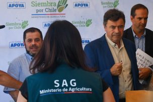 SAG informó la detección de influenza aviar en segundo plantel industrial de Biobío: activó protocolo sanitario