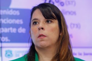 Gobierno confirmó las 22 comunas de la RM que forman parte del plan 