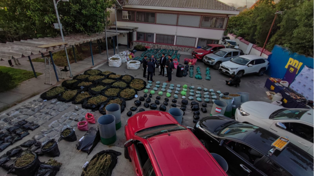 Desarticulan banda criminal dedicada a la producción y venta de cannabis en Punitaqui y Ovalle: Contaban con un “alto poder de fuego”