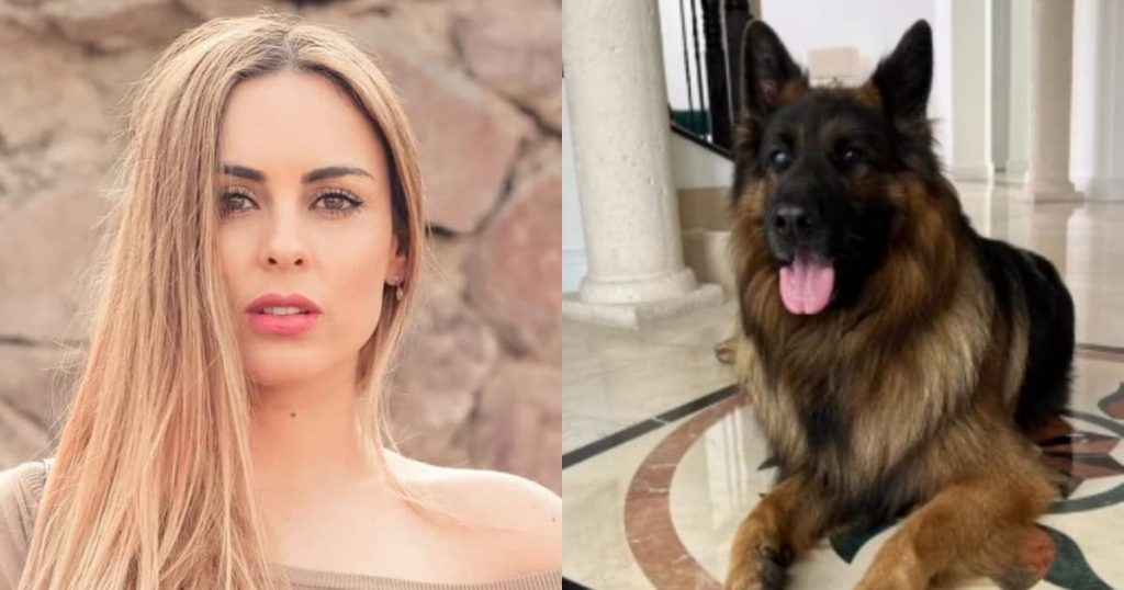 Maura Rivera aclaró el destino de sus mascotas tras mudarse a Miami: “Me aburrí de explicar, ya me da lata…”