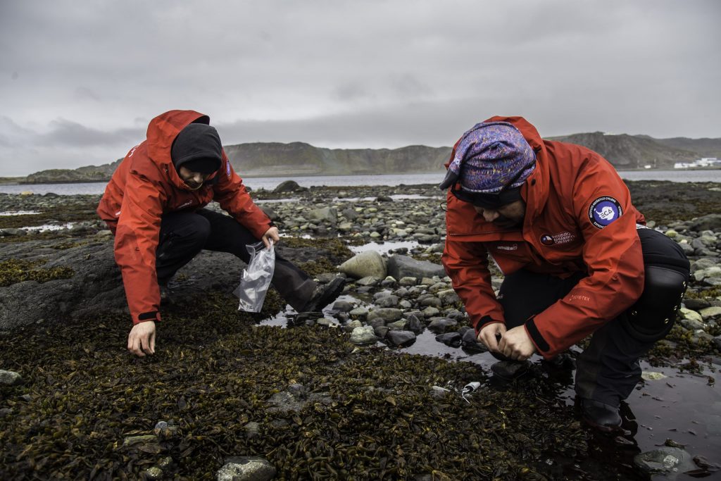 Chile finalizó exitosa expedición científica antártica