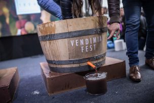 Vendimia Fest 2023 vuelve con sorpresas para los amantes del vino y la gastronomía