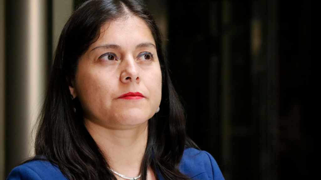 Diputada Medina por crisis de seguridad: “Esto no mejorará solo entregándole más facultades a Carabineros”