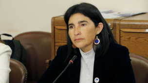 Diputada Ahumada solicitó incluir a la región de Antofagasta en la Estrategia Nacional del Litio