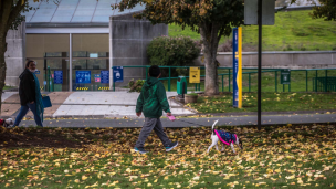 Otoño y cambios de temperatura: ¿Cómo evitamos los resfriados esta temporada?