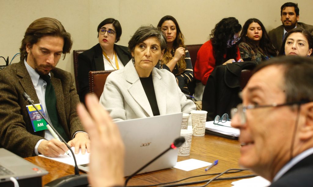 Ministra de Salud sobre ley corta: “El sentido del proyecto es tratar de dar cumplimiento a la sentencia”