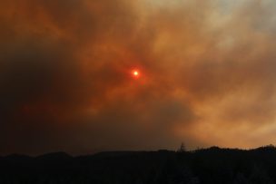 Senapred actualizó situación por incendio forestal en Zapallar y Papudo: se mantiene la alerta roja