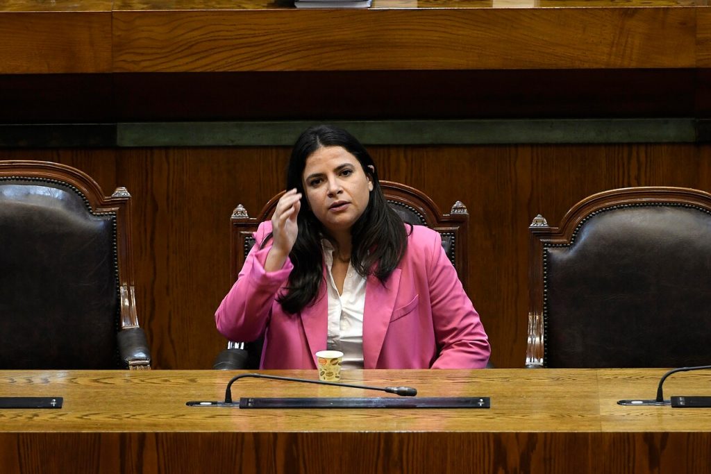 Ministra de la Mujer se refiere a femicidio en Providencia: “Hemos establecido contacto con la familia”