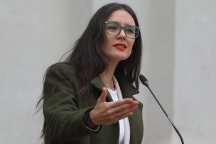 Ministra Vallejo llamó a 