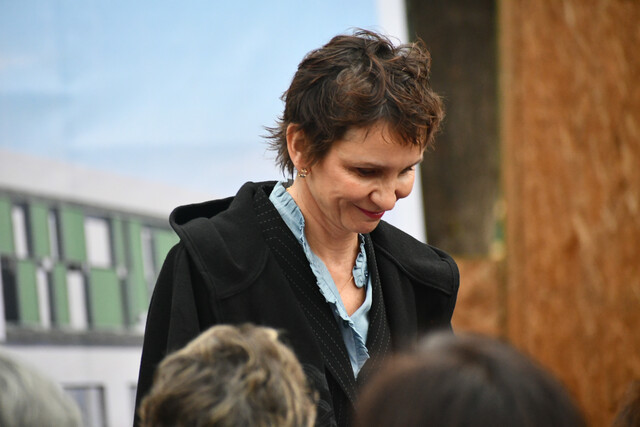 PPD rechaza las declaraciones de su vicepresidenta sobre Tohá: “Opinión errónea y equivocada”