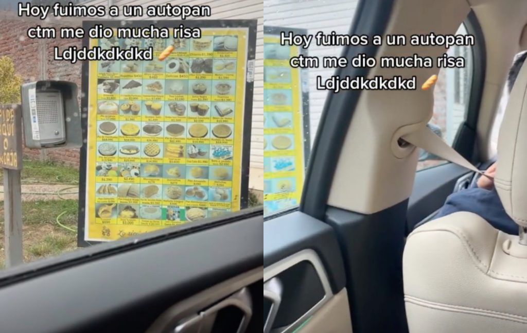 “Dime que eres de Chile, sin decirme que eres de Chile”: “Autopan” en el Cajón del Maipo se hace viral en TikTok