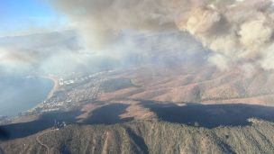 Declaran alerta roja para las comunas de Zapallar y Papudo por incendio forestal