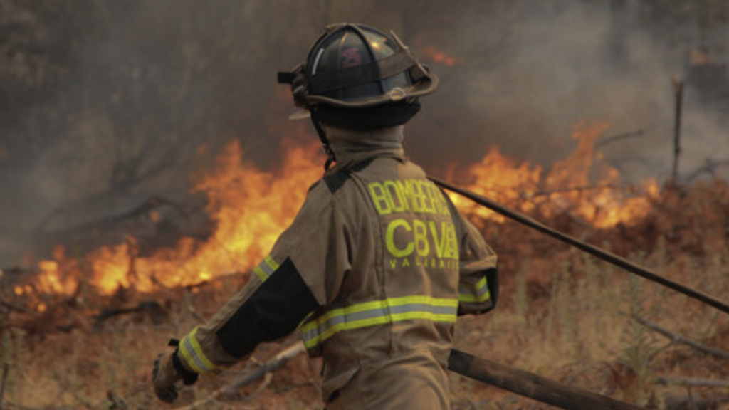 Incendio forestal en Zapallar habría sido provocado por tendido eléctrico: alcalde solicitó ayuda del Gobierno