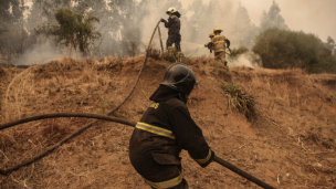 Actualización incendio forestal en Zapallar y Papudo: 380 hectáreas han sido consumidas por el fuego y se mantiene la alerta roja en la zona