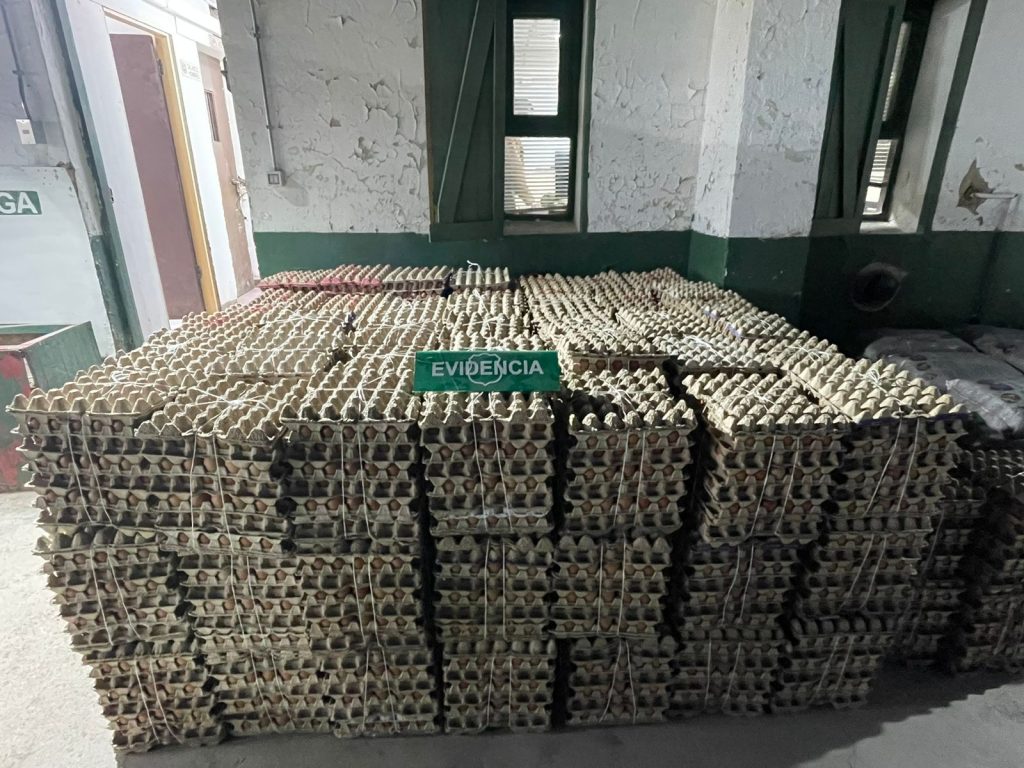 Carabineros incauta 23 mil huevos de contrabando