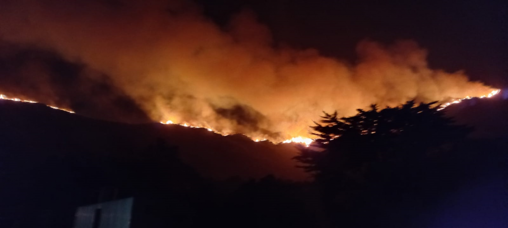 Con 350 hectáreas consumidas: se mantiene la Alerta Roja en Zapallar y Papudo por incendio forestal