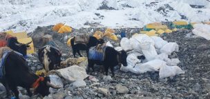 Expediciones al Everest han generado 84 toneladas de basura solo durante la temporada de primavera