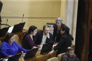 Diputados oficialistas piden mantener el congelamiento de tarifa del transporte público