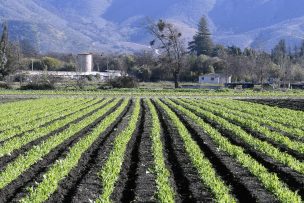 Tras intensas lluvias SNA plantea que es «urgente» avanzar en infraestructura hídrica para la agricultura