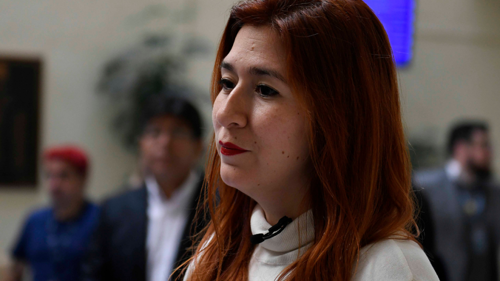 Corte de Apelaciones revisa desafuero de la diputada Catalina Pérez por el caso Democracia Viva