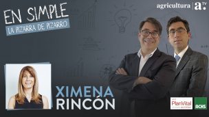 Ximena Rincón: “Creo que las cuentas nocionales son una estafa”