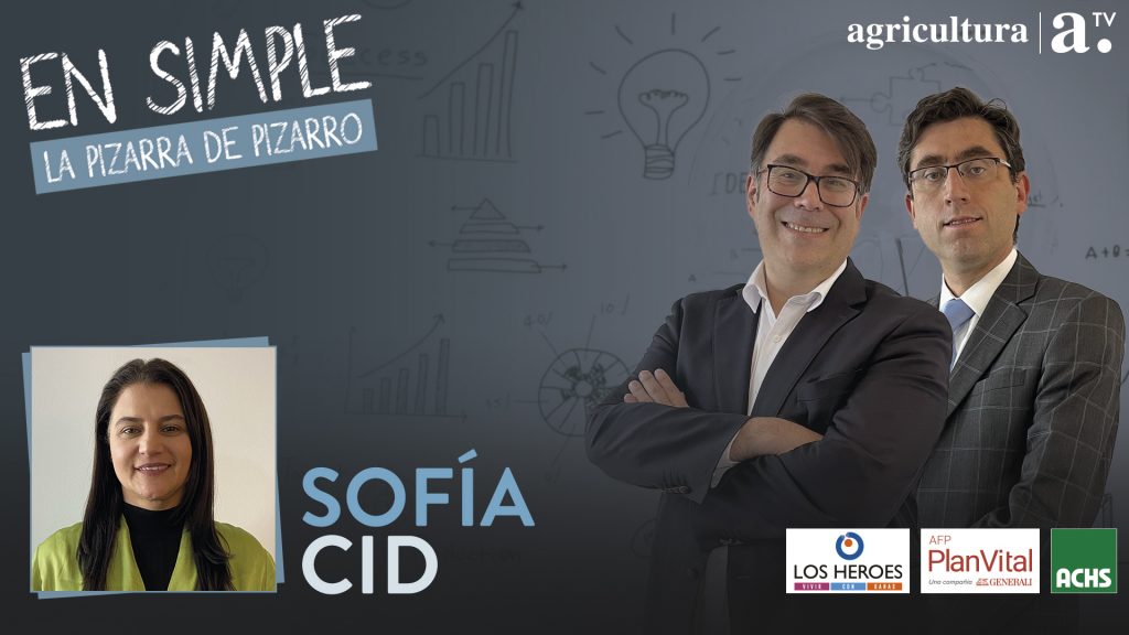 Diputada Sofía Cid sobre pensiones: “Cuando te llevan a un sistema en que todo termina en rentas vitalicias, claramente no es heredable”