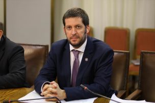 Diputado Irarrázaval por Ministerio de Seguridad: 
