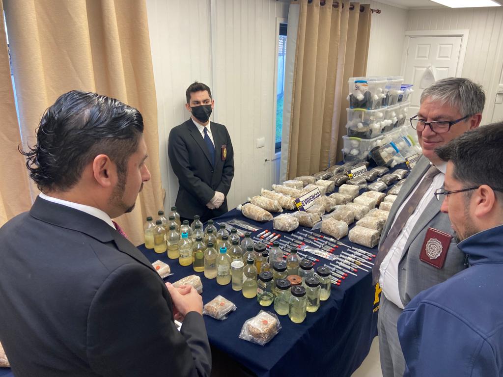 Fiscalía y PDI incautaron más de 60 kilos de hongos alucinógenos en San Carlos: “Esta investigación es histórica”