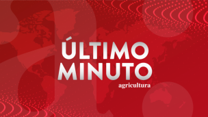 O'Higgins: Piden evacuar ribera del lago Rapel y dos sectores de la comuna de Las Cabras por desborde de río