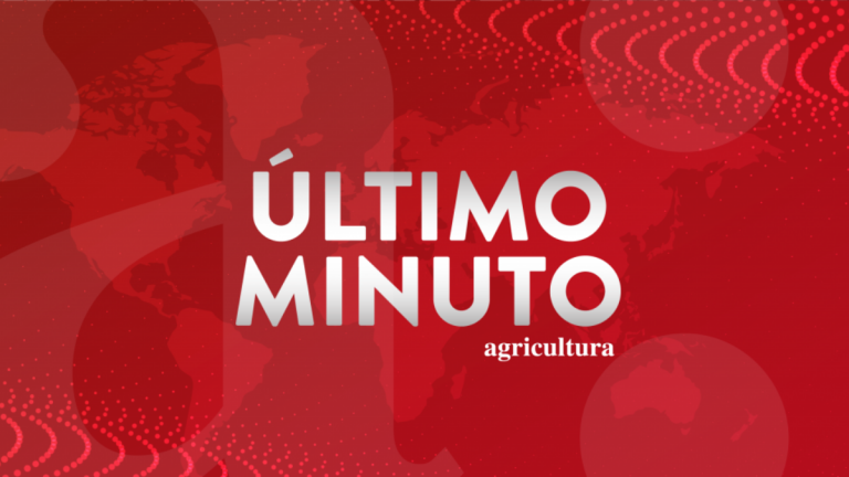 Terremoto en Filipinas: SHOA evalúa posible amenaza de tsunami para las costas de Chile