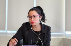 Delegada Presidencial de Valparaíso pide a los habitantes del Valle del Aconcagua no acercarse a 