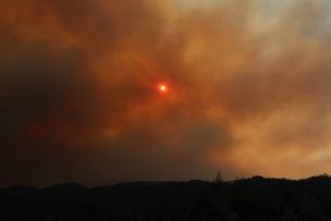 Declaran alerta roja para comuna de Alto del Carmen por incendio forestal: solicitan evacuar sectores de El Sombrío y Algodón