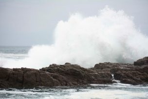 Armada alerta nuevo aviso de marejadas para las costas del país